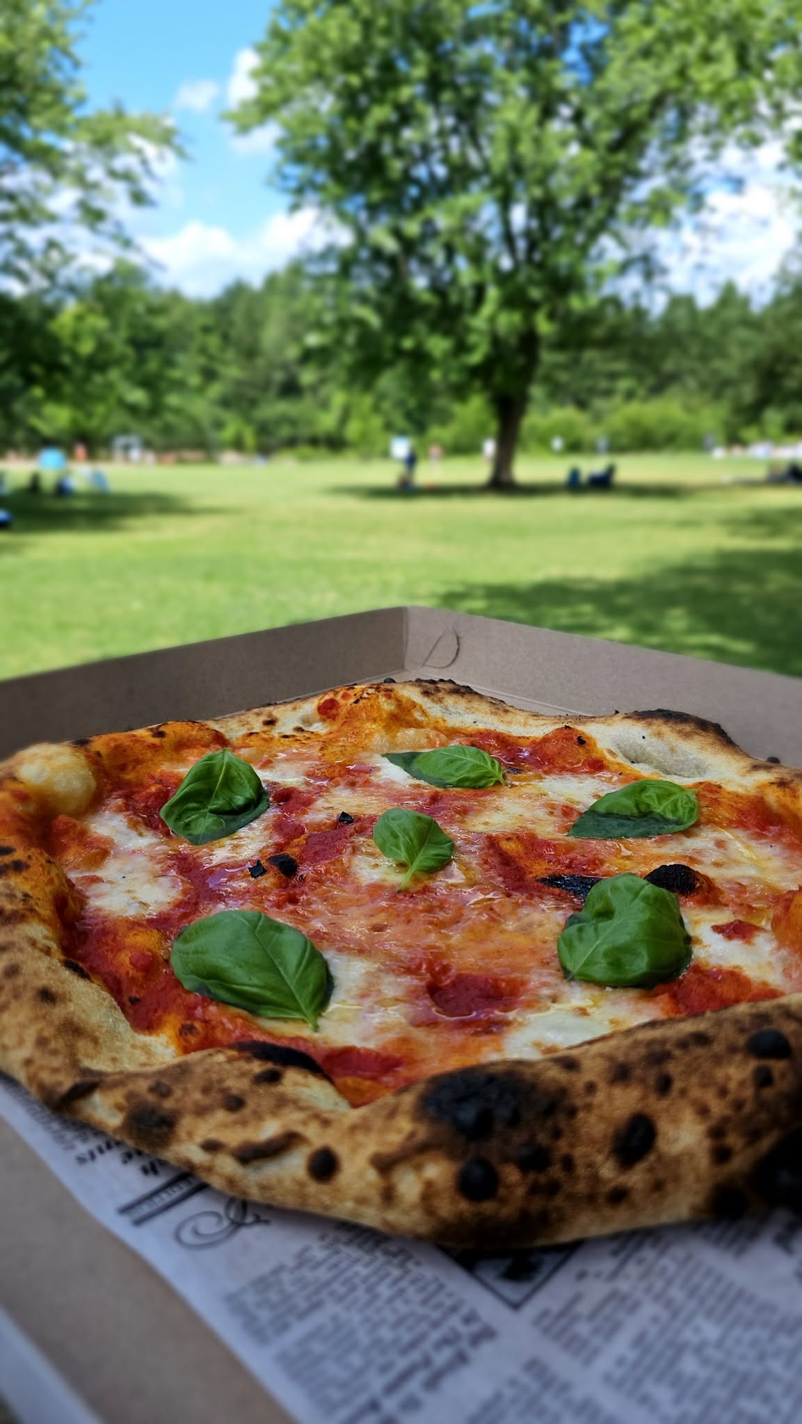 Pizza margherita au basilic dans un parc
